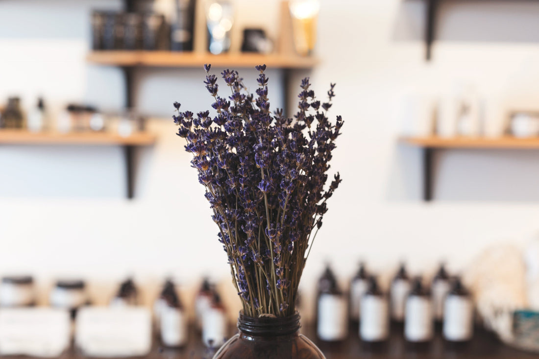 The Wonders of Lavender: A Natural Remedy for Skin, Stress, and More